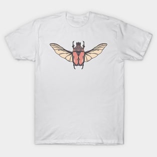 Beetle Boy T-Shirt